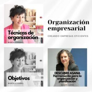Bundle Organización empresarial